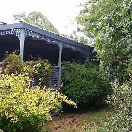 Villa View Mount Sawmill Settlement Exterior foto